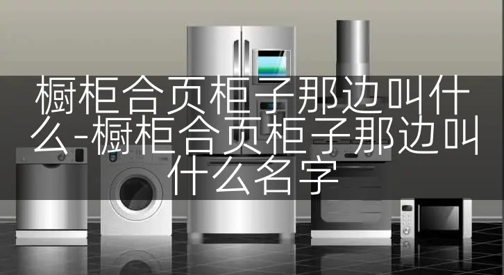 橱柜合页柜子那边叫什么-橱柜合页柜子那边叫什么名字
