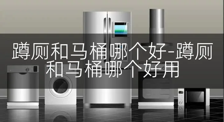 蹲厕和马桶哪个好-蹲厕和马桶哪个好用