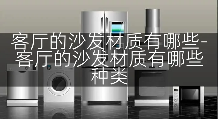 客厅的沙发材质有哪些-客厅的沙发材质有哪些种类