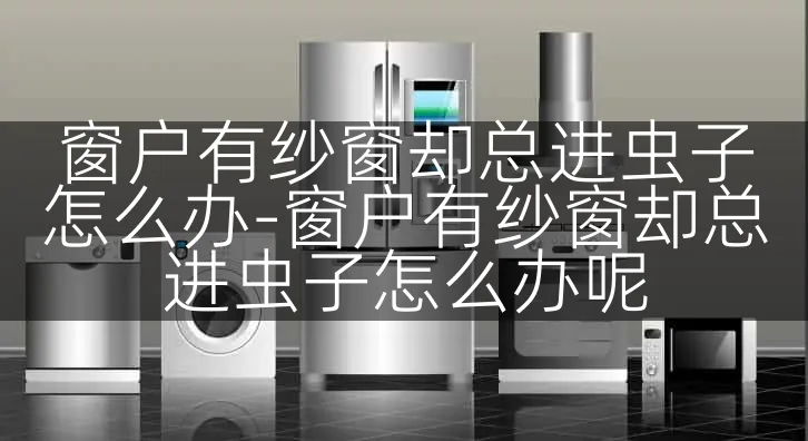 窗户有纱窗却总进虫子怎么办-窗户有纱窗却总进虫子怎么办呢