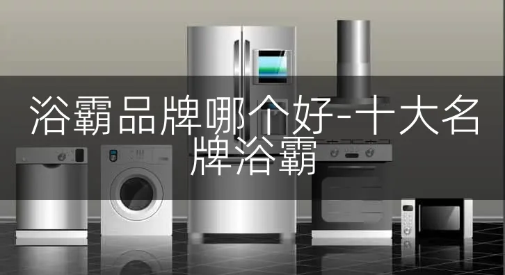 浴霸品牌哪个好-十大名牌浴霸
