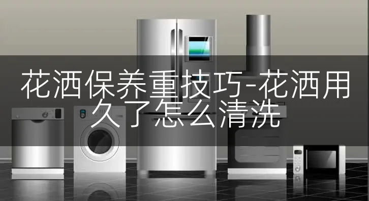 花洒保养重技巧-花洒用久了怎么清洗