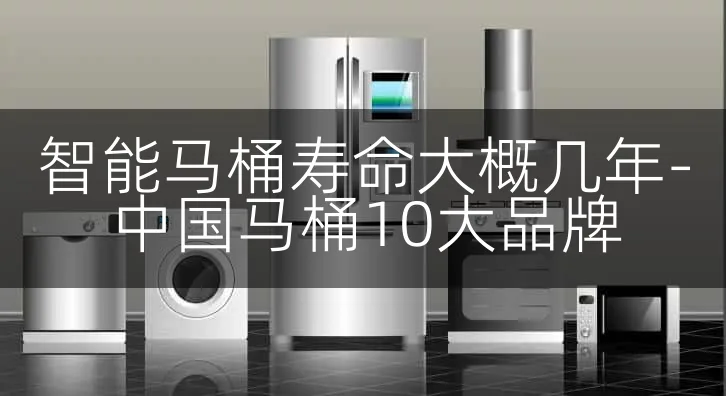 智能马桶寿命大概几年-中国马桶10大品牌