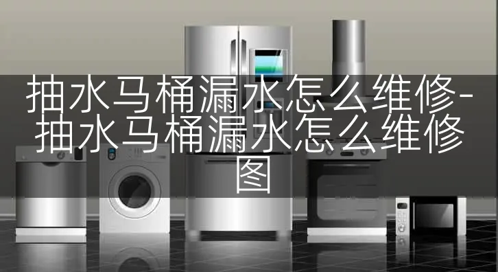 抽水马桶漏水怎么维修-抽水马桶漏水怎么维修图