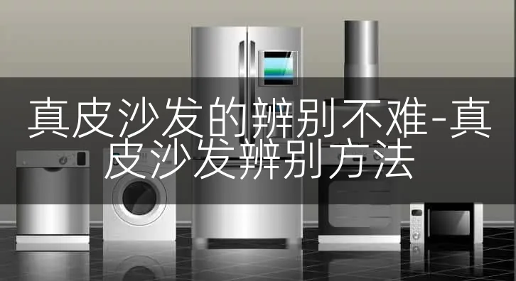 真皮沙发的辨别不难-真皮沙发辨别方法