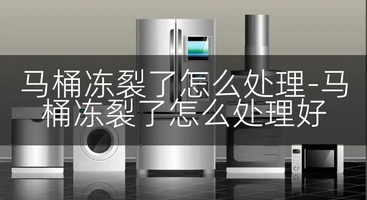 马桶冻裂了怎么处理-马桶冻裂了怎么处理好