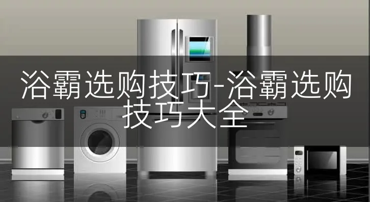 浴霸选购技巧-浴霸选购技巧大全