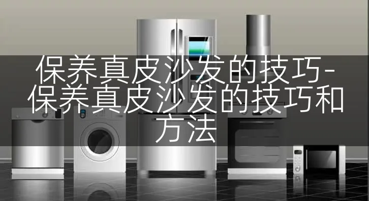 保养真皮沙发的技巧-保养真皮沙发的技巧和方法