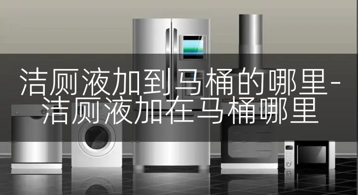 洁厕液加到马桶的哪里-洁厕液加在马桶哪里