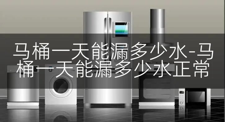 马桶一天能漏多少水-马桶一天能漏多少水正常