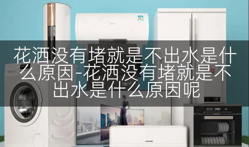 花洒没有堵就是不出水是什么原因-花洒没有堵就是不出水是什么原因呢