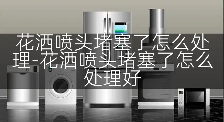 花洒喷头堵塞了怎么处理-花洒喷头堵塞了怎么处理好