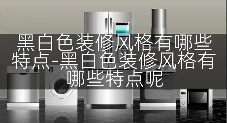 黑白色装修风格有哪些特点-黑白色装修风格有哪些特点呢