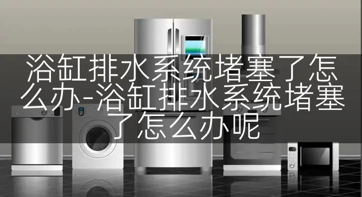 浴缸排水系统堵塞了怎么办-浴缸排水系统堵塞了怎么办呢
