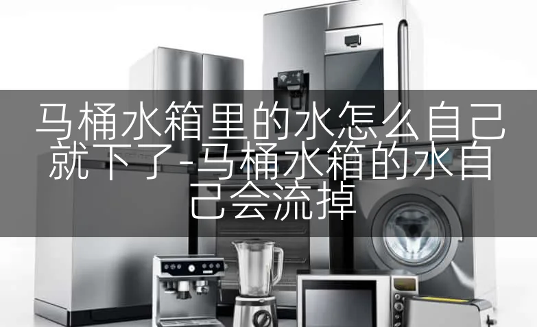 马桶水箱里的水怎么自己就下了-马桶水箱的水自己会流掉