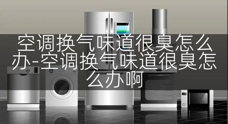 空调换气味道很臭怎么办-空调换气味道很臭怎么办啊
