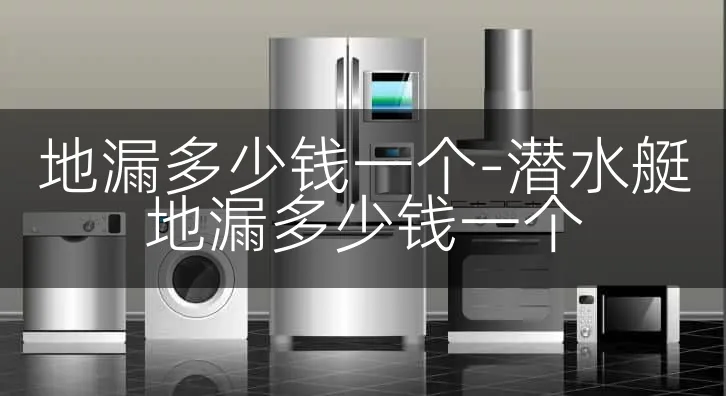 地漏多少钱一个-潜水艇地漏多少钱一个