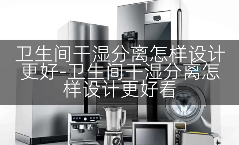卫生间干湿分离怎样设计更好-卫生间干湿分离怎样设计更好看
