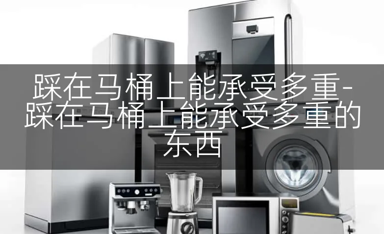 踩在马桶上能承受多重-踩在马桶上能承受多重的东西