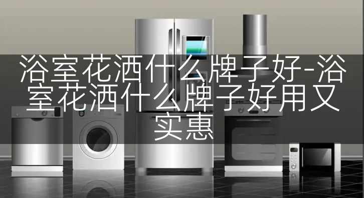 浴室花洒什么牌子好-浴室花洒什么牌子好用又实惠