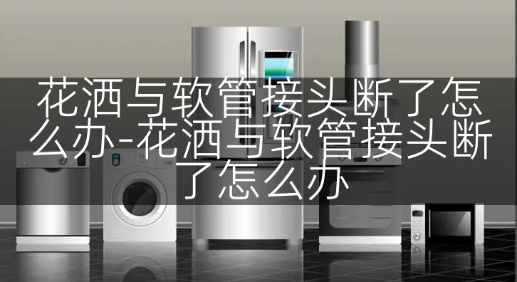 花洒与软管接头断了怎么办-花洒与软管接头断了怎么办