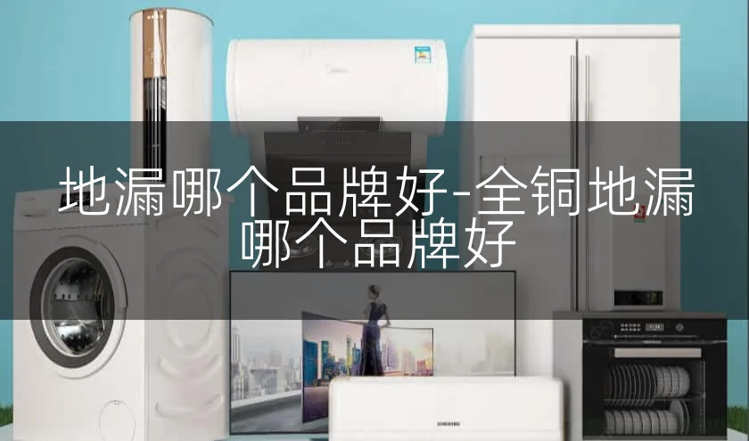 地漏哪个品牌好-全铜地漏哪个品牌好