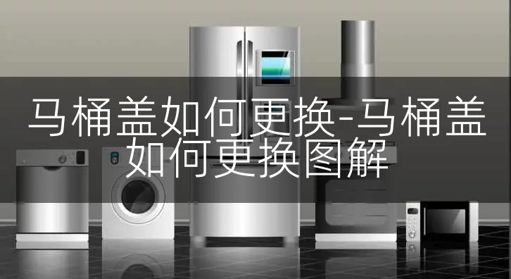 马桶盖如何更换-马桶盖如何更换图解