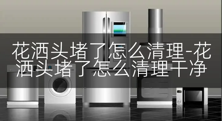 花洒头堵了怎么清理-花洒头堵了怎么清理干净