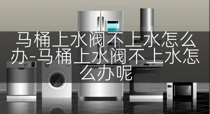 马桶上水阀不上水怎么办-马桶上水阀不上水怎么办呢