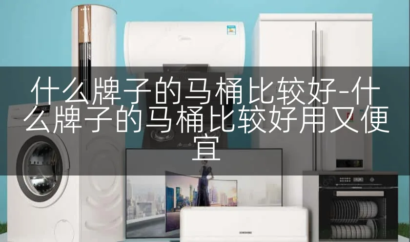 什么牌子的马桶比较好-什么牌子的马桶比较好用又便宜