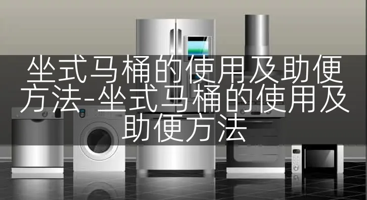 坐式马桶的使用及助便方法-坐式马桶的使用及助便方法