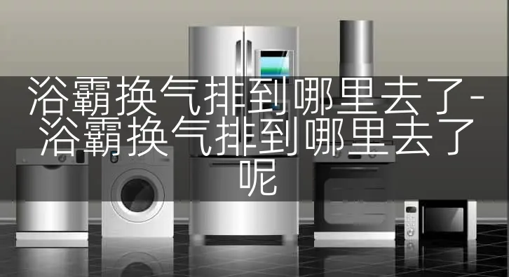 浴霸换气排到哪里去了-浴霸换气排到哪里去了呢