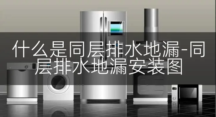 什么是同层排水地漏-同层排水地漏安装图
