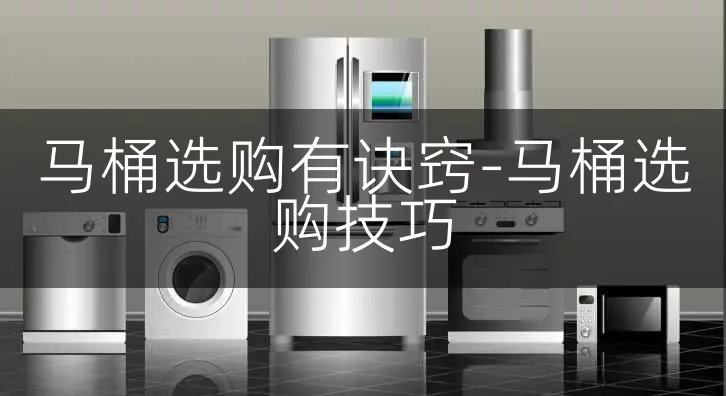 马桶选购有诀窍-马桶选购技巧