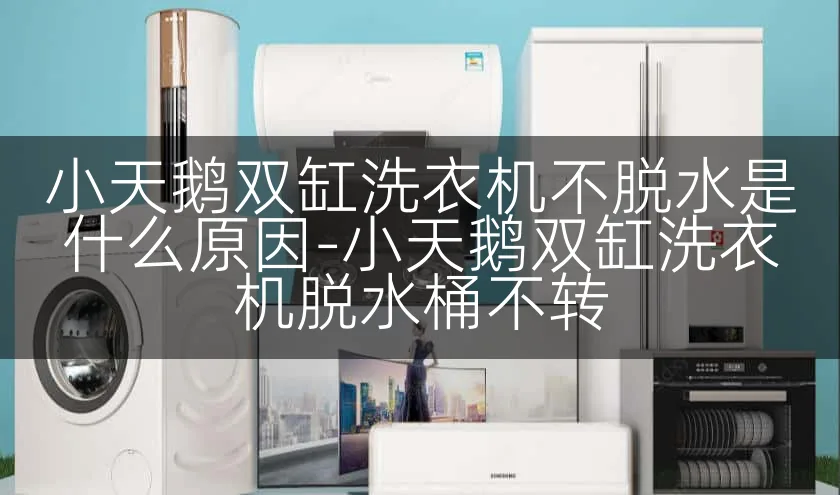小天鹅双缸洗衣机不脱水是什么原因-小天鹅双缸洗衣机脱水桶不转
