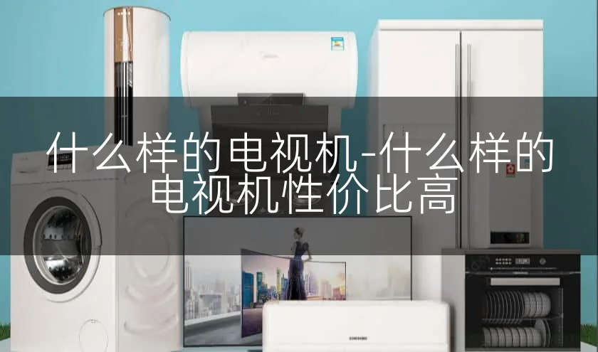 什么样的电视机-什么样的电视机性价比高