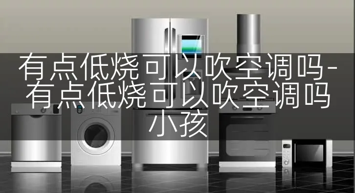 有点低烧可以吹空调吗-有点低烧可以吹空调吗小孩