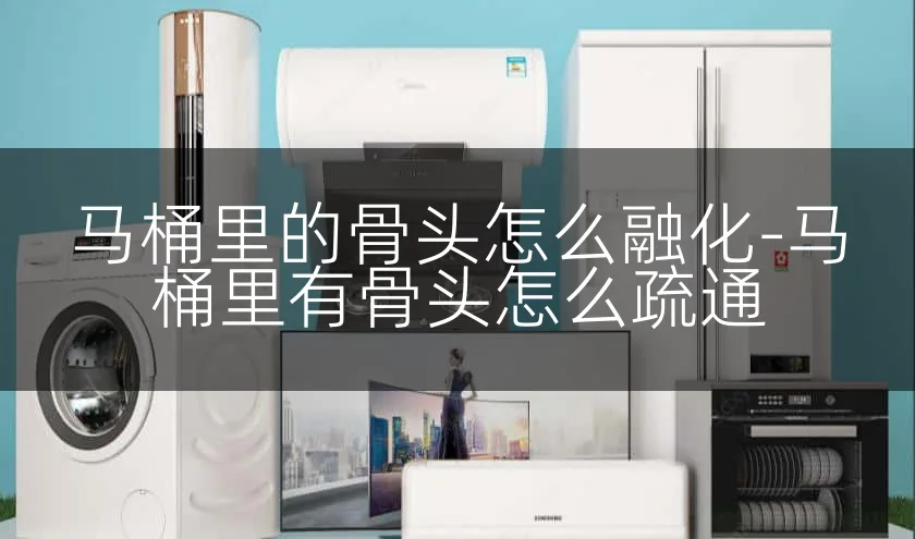 马桶里的骨头怎么融化-马桶里有骨头怎么疏通