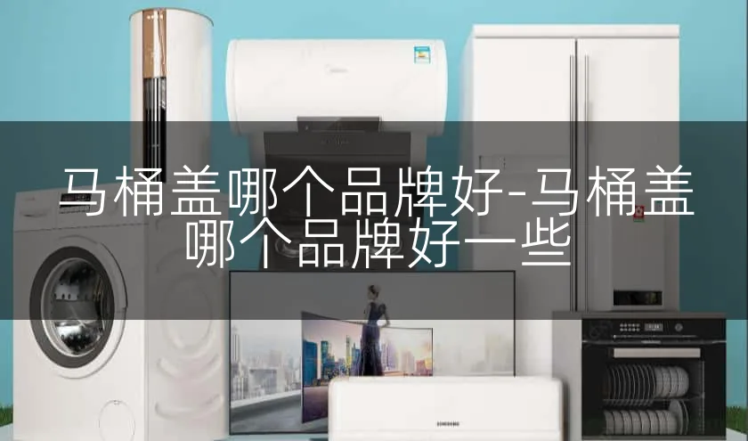 马桶盖哪个品牌好-马桶盖哪个品牌好一些