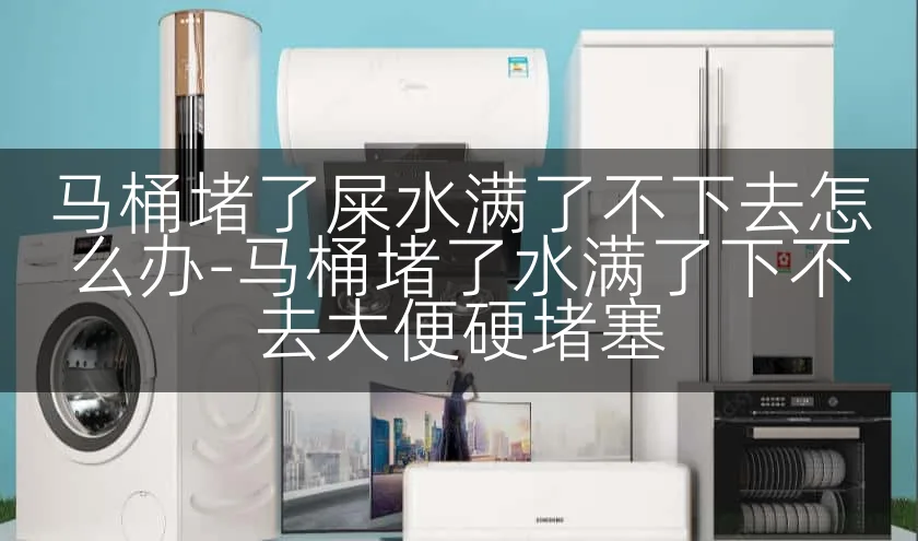 马桶堵了屎水满了不下去怎么办-马桶堵了水满了下不去大便硬堵塞