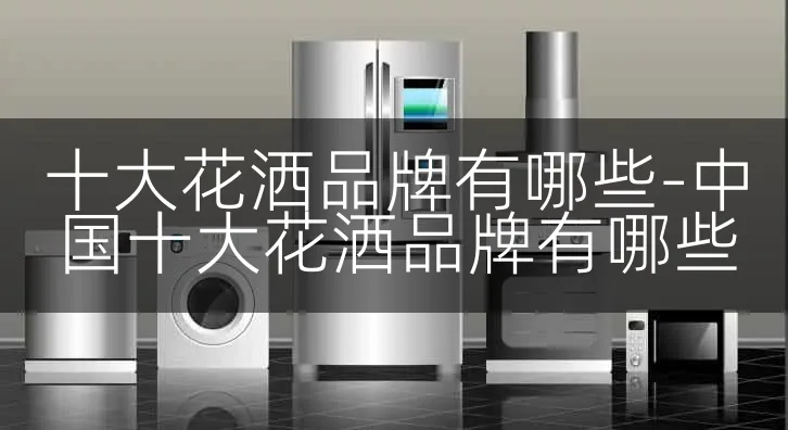 十大花洒品牌有哪些-中国十大花洒品牌有哪些