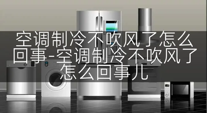 空调制冷不吹风了怎么回事-空调制冷不吹风了怎么回事儿