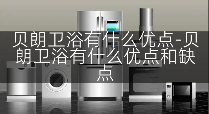 贝朗卫浴有什么优点-贝朗卫浴有什么优点和缺点