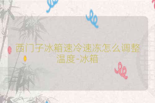 西门子冰箱速冷速冻怎么调整温度-冰箱