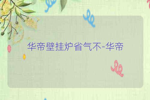 华帝壁挂炉省气不-华帝