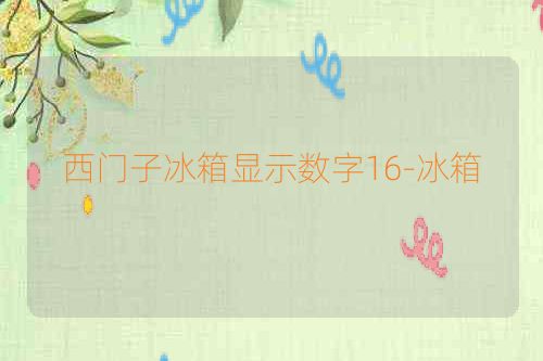 西门子冰箱显示数字16-冰箱