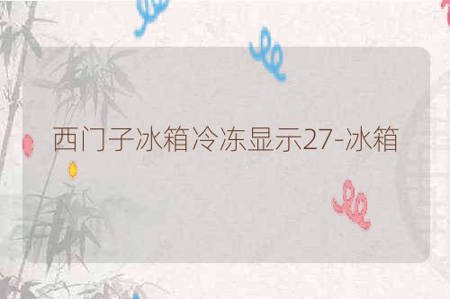 西门子冰箱冷冻显示27-冰箱
