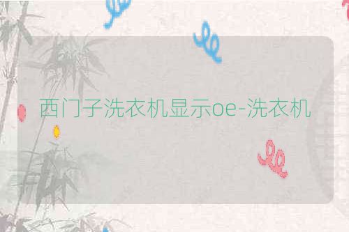 西门子洗衣机显示oe-洗衣机