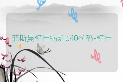 菲斯曼壁挂锅炉p40代码-壁挂