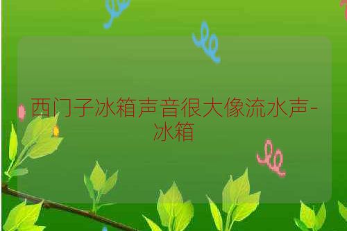 西门子冰箱声音很大像流水声-冰箱